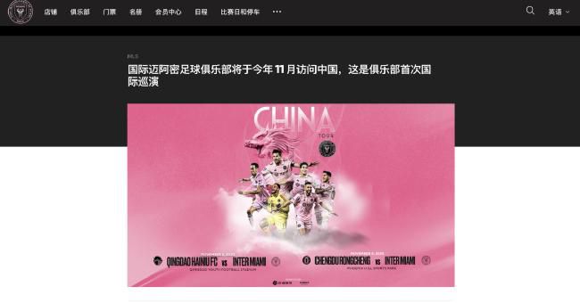 公与儿媳系列100集