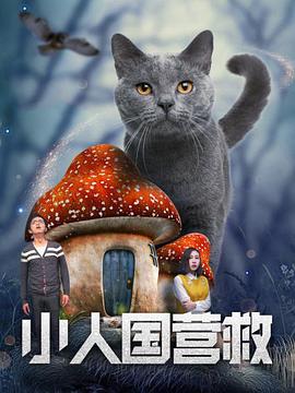 淑女的欲