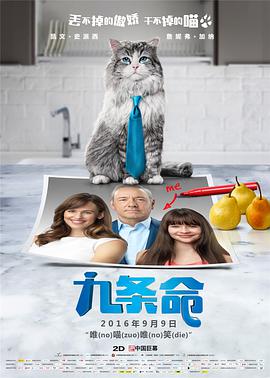 第三任妻子2020