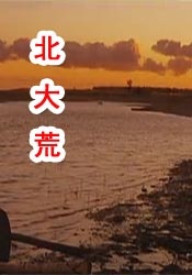 9久久免费国产精品特黄