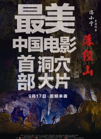午夜视频在线看