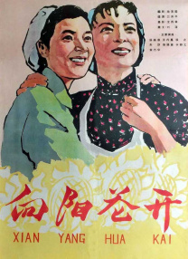 谷原希美电影