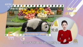 午夜爱爱网站